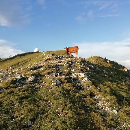 Cahute De Montagne Pour Profiter Du Haut Jura Prémanon Exteriér fotografie