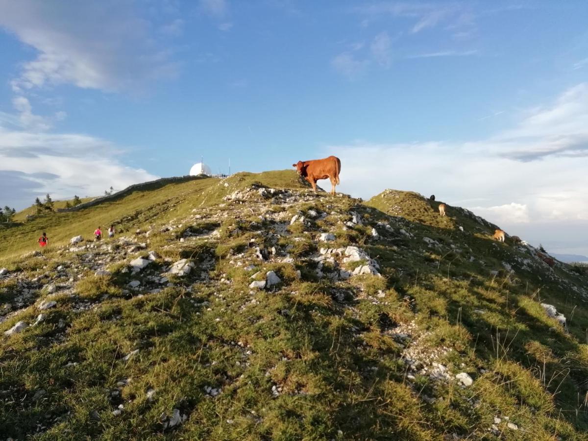 Cahute De Montagne Pour Profiter Du Haut Jura Prémanon Exteriér fotografie