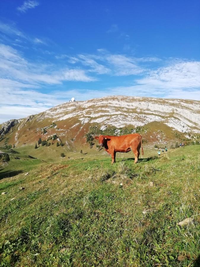 Cahute De Montagne Pour Profiter Du Haut Jura Prémanon Exteriér fotografie