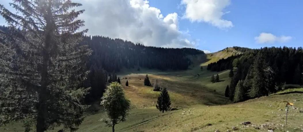 Cahute De Montagne Pour Profiter Du Haut Jura Prémanon Exteriér fotografie